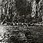 B. Střemcha: Svatojánské proudy, kolem 1906