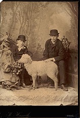 Ateliér J. Husníka: portrét s ovečkou, kolem 1882, kabinetka