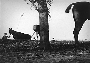 Josef Pírko: Bez názvu (fotografické zátiší s koňmi ), kolem 1901