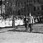 R. Bruner-Dvořák: Císař kráčí na Královských Vinohradech špalírem dětí po dlažbě posypané kvítím, 24. dubna 1907 