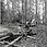 František Krátký: Šumava, dřevorubci, kol 1890