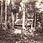 J. Eckert: A woodcutter cottage, 1880 - 82