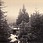 J. Eckert: Near Maple Lake, 1880 - 82